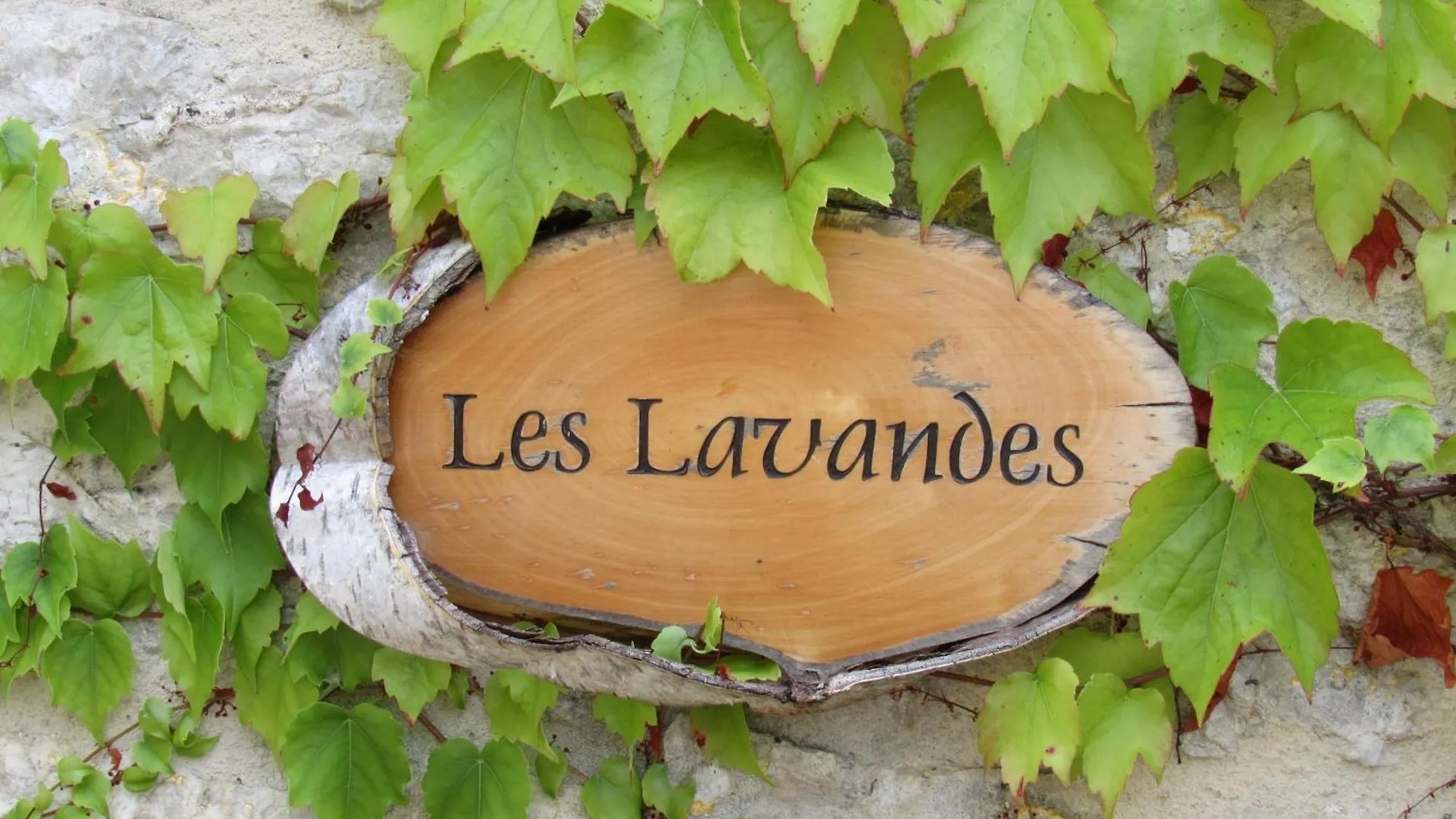 Le Mas Des Cypres Constans Vakantiehuis